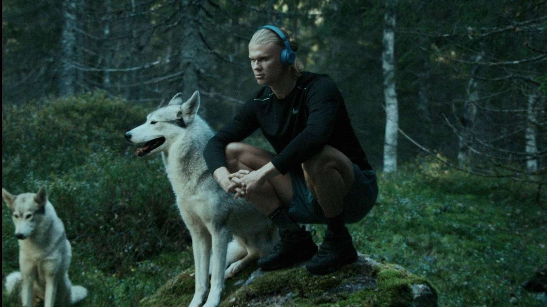 仅展示了南 仅展示了南