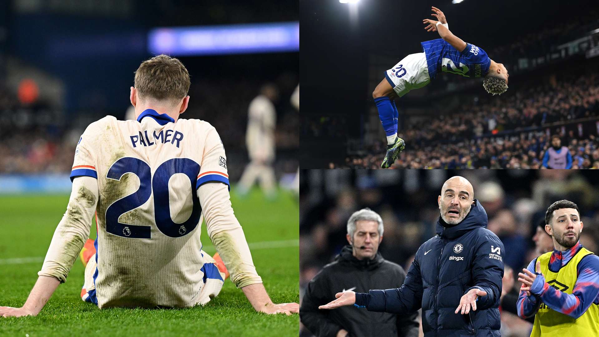 整个比赛场 整个比赛场